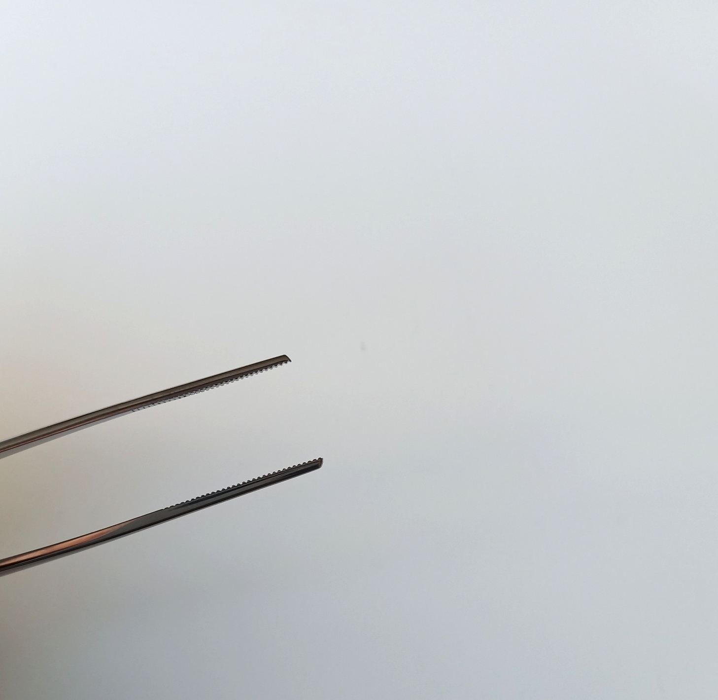 醫用鑷子 直尖10cm (5).jpg